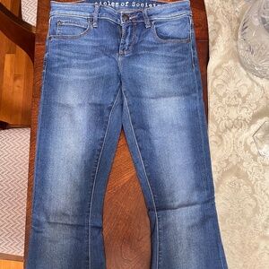 Articles of Society Flare Jeans
